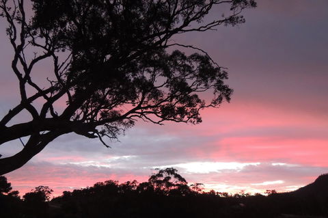 Wozza's B&B - Accommodation Cairns 3