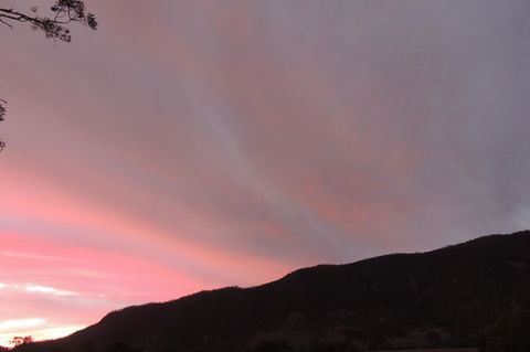 Wozza's B&B - Accommodation Cairns 2