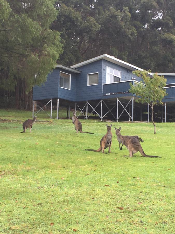 William Bay WA Accommodation Cairns