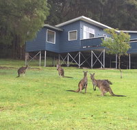 Blue House Denmark - Accommodation Cairns