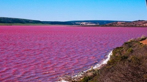 Kanga Cottage - Accommodation Cairns 38