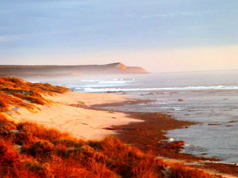 Kanga Cottage - Accommodation Cairns 26