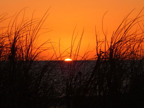 Kanga Cottage - Accommodation Cairns 27