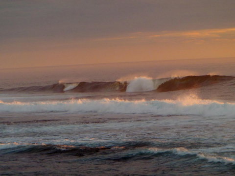 Kanga Cottage - Accommodation Cairns 42