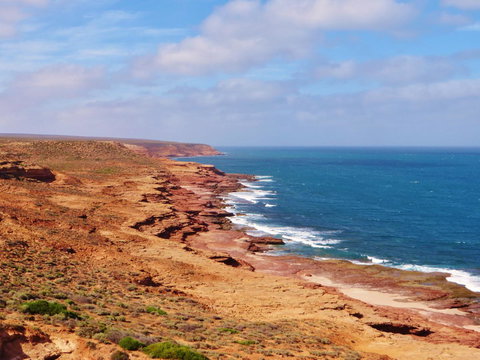 Kanga Cottage - Accommodation Cairns 32