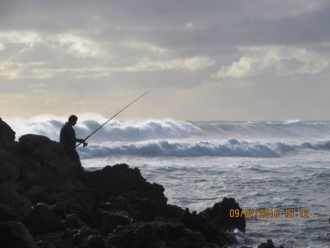 Kanga Cottage - Accommodation Cairns 44