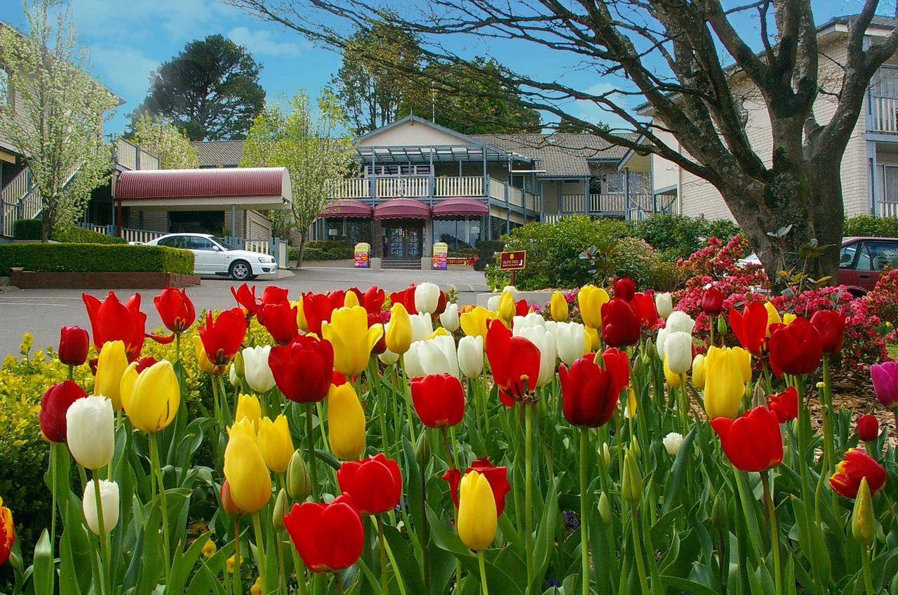 Leura NSW Accommodation Cairns