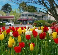 Nesuto Leura Gardens formerly Waldorf Leura Gardens Resort - Accommodation Cairns