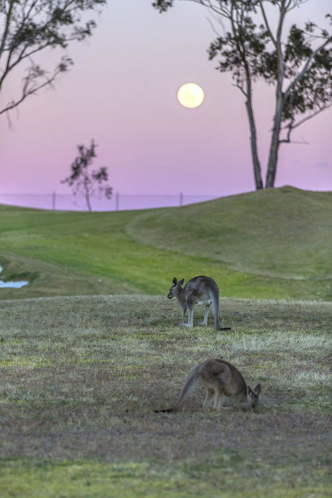 Oaks Cypress Lakes Resort - Accommodation Cairns 28