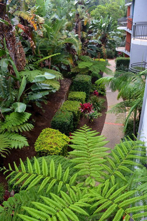 Flynns Beach Resort - Accommodation Cairns 17