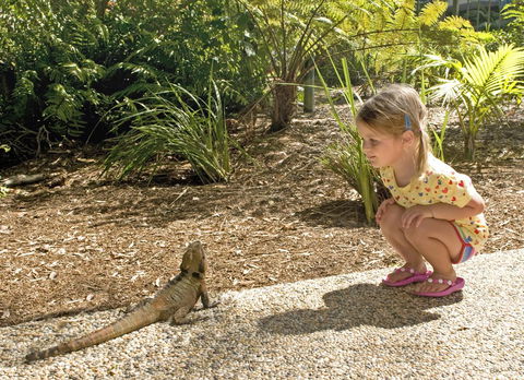 Flynns Beach Resort - Accommodation Cairns 16