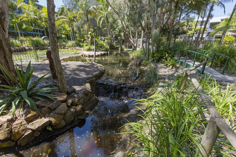 Flynns Beach Resort - Accommodation Cairns 13