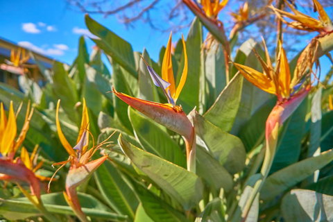 Hunter Oasis - Accommodation Cairns 33