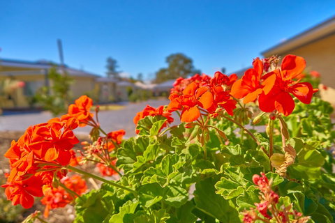 Hunter Oasis - Accommodation Cairns 42