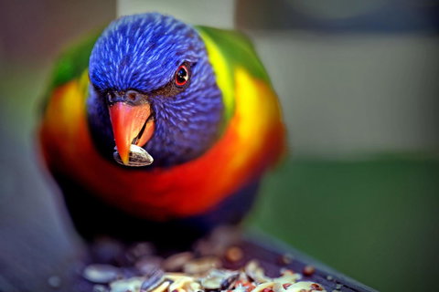 Condo 105 @ Horizons Golf Resort - Salamander Bay NSW - Accommodation Cairns 19