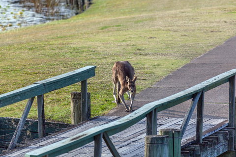 Condo 105 @ Horizons Golf Resort - Salamander Bay NSW - Accommodation Cairns 11