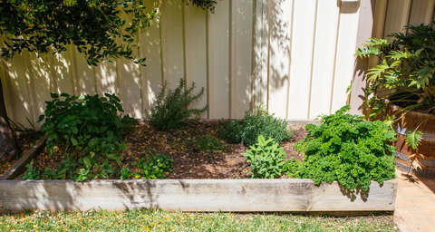 Sunbaker Pet Friendly Awards Finalist 4 Mins Walk To Culburra Beach - Accommodation Cairns 31