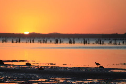 Ambience - Accommodation Cairns 35