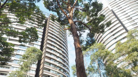 SkyGarden Sydney Olympic Park 3 & 4 Bedroom City View - Accommodation Cairns 33