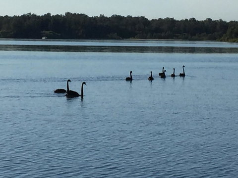 Swan Bay Hideaway - Accommodation Cairns 7