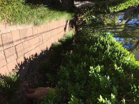 Swan Bay Hideaway - Accommodation Cairns 6