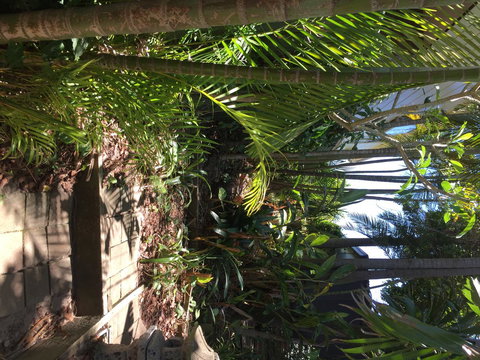 Swan Bay Hideaway - Accommodation Cairns 9