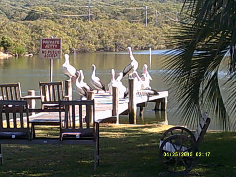 Pelican H2O One & Two Bedroom Apartments - Accommodation Cairns 9