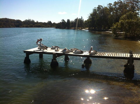 Pelican H2O One & Two Bedroom Apartments - Accommodation Cairns 5