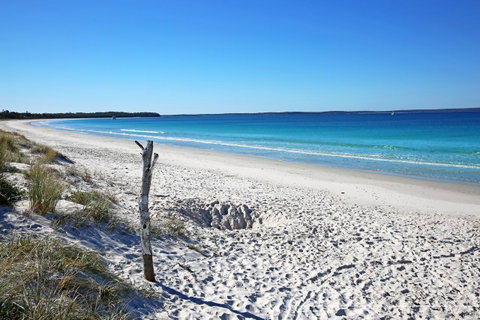 Sandy Toes Beach House Jervis Bay - 2min To Beach - Accommodation Cairns 22
