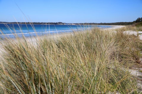 Sandy Toes Beach House Jervis Bay - 2min To Beach - Accommodation Cairns 23