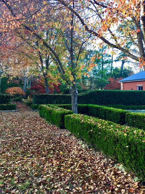 Chanticleer Gardens Barn Cottage With A Pool - Accommodation Cairns 37