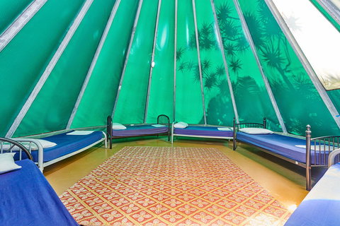 Arts Factory By Nomads - Accommodation Cairns 15