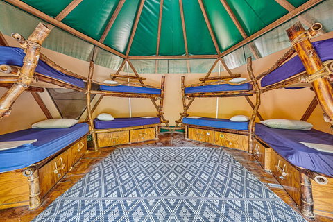 Arts Factory By Nomads - Accommodation Cairns 4