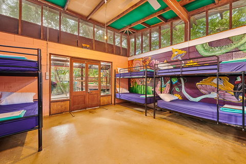 Arts Factory By Nomads - Accommodation Cairns 16