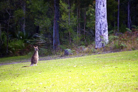 Jackson Ranch By Bannisters - Accommodation Cairns 31