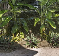 Nineteen on Nudl - Accommodation Cairns