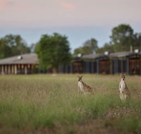 Wildman Wilderness Lodge - Accommodation Cairns