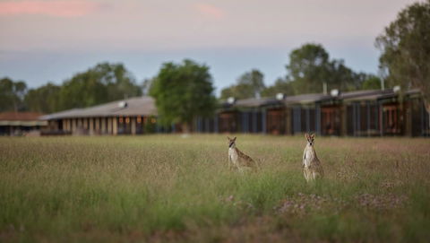 Wildman Wilderness Lodge - Accommodation Cairns 0
