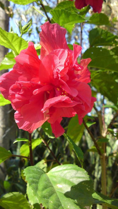 Darwin Beach Escape Holiday Home - Accommodation Cairns 24