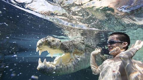 Darwin Beach Escape Holiday Home - Accommodation Cairns 33