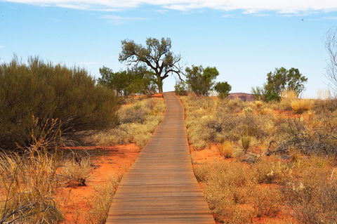 Discovery Resorts - Kings Canyon - Accommodation Cairns 27