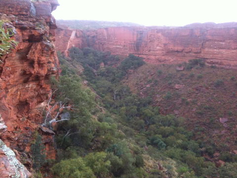 Discovery Resorts - Kings Canyon - Accommodation Cairns 34
