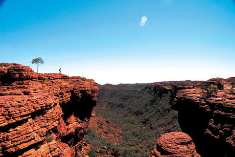 Discovery Resorts - Kings Canyon - Accommodation Cairns 38