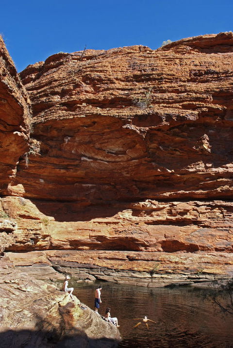 Discovery Resorts - Kings Canyon - Accommodation Cairns 44