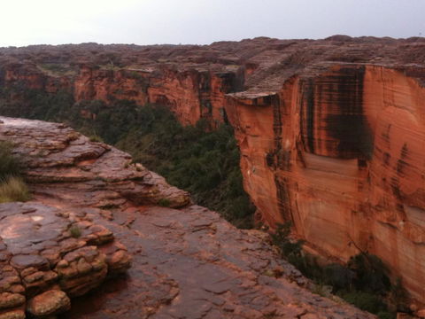 Discovery Resorts - Kings Canyon - Accommodation Cairns 35