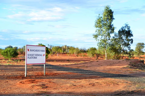 Erldunda Desert Oaks Resort - Accommodation Cairns 28