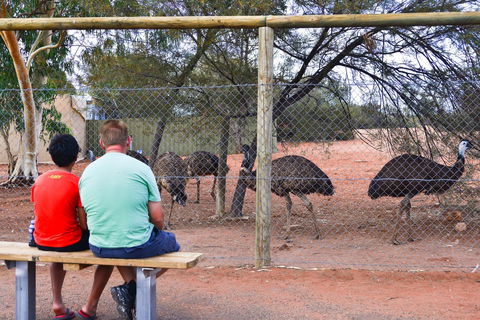 Erldunda Desert Oaks Resort - Accommodation Cairns 21