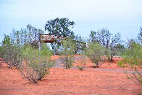 Erldunda Desert Oaks Resort - Accommodation Cairns 42