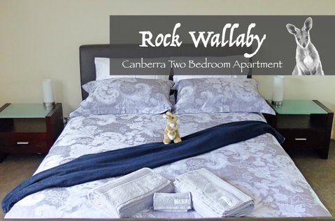 Rock Wallaby - Accommodation Cairns 4
