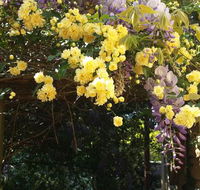 Bowral Road Bed and Breakfast - Accommodation Cairns